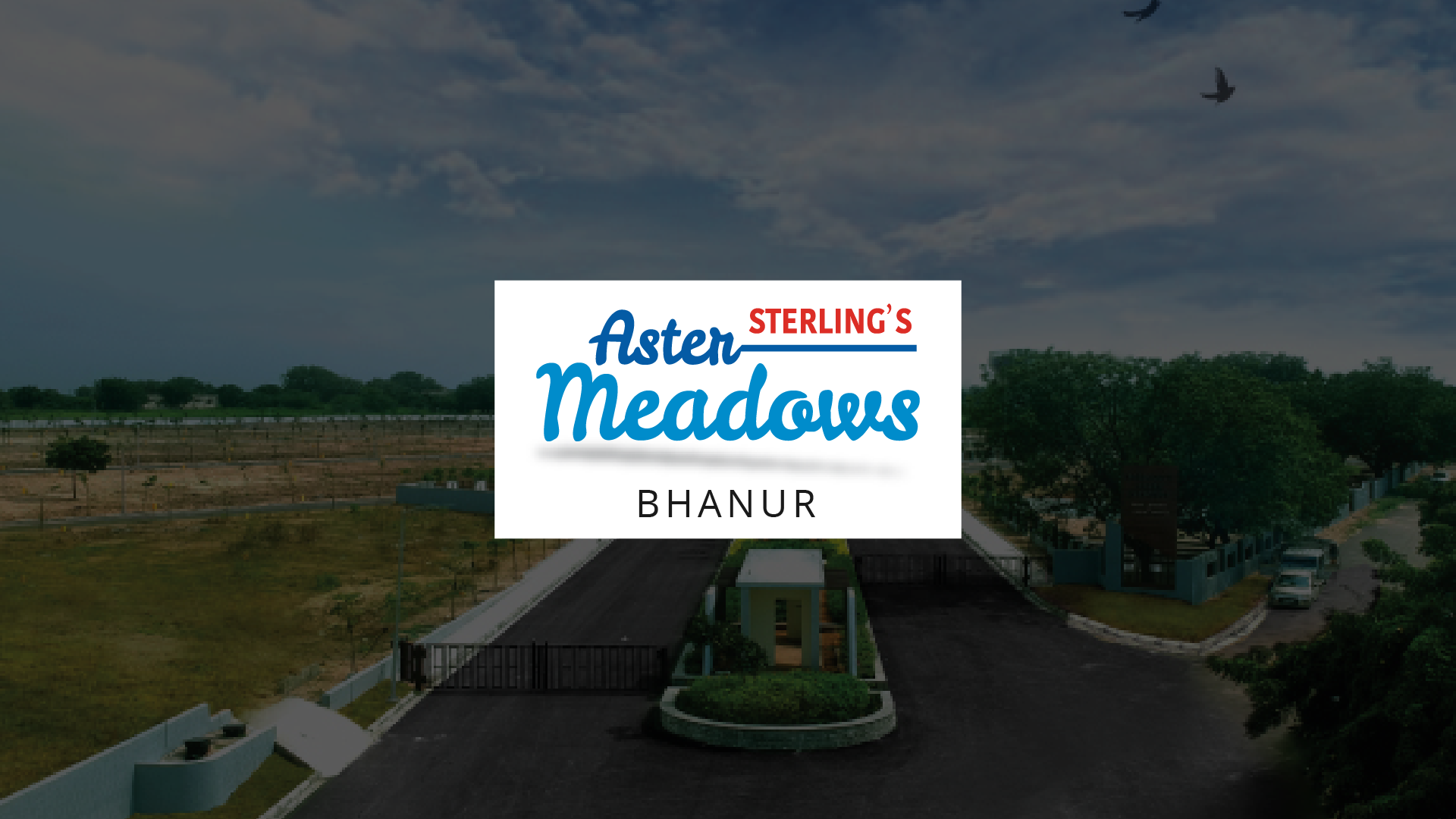 Sterling's Aster Meadows at Bhanur
